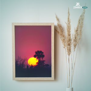 Sunset over a landscape with silhouetted trees and a palm tree, featuring a vibrant orange and pink sky.