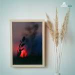 A serene sunset viewed through tall grass, casting warm hues across the landscape.