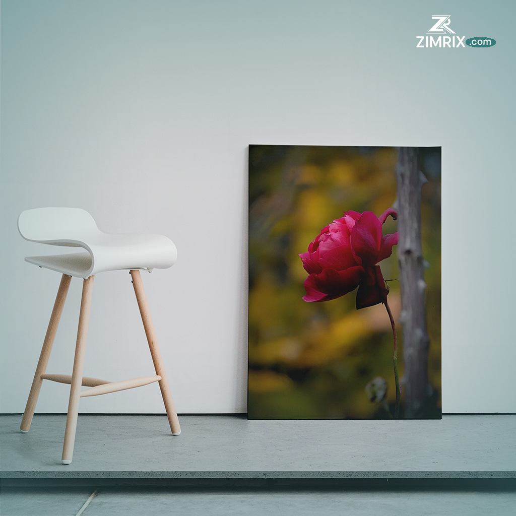 A vibrant red rose blooms on a branch amidst the serene backdrop of a wooded area.