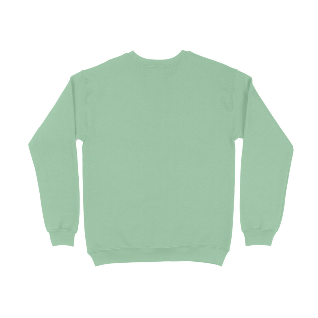 Mint Green | Men's Sweatshirt